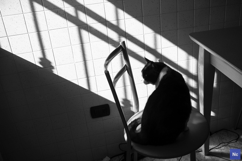 La luce entra in casa