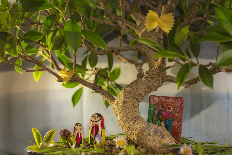 Sole primaverile homemade