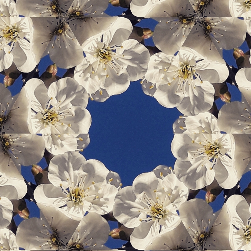 Nessuno ferma la primavera...