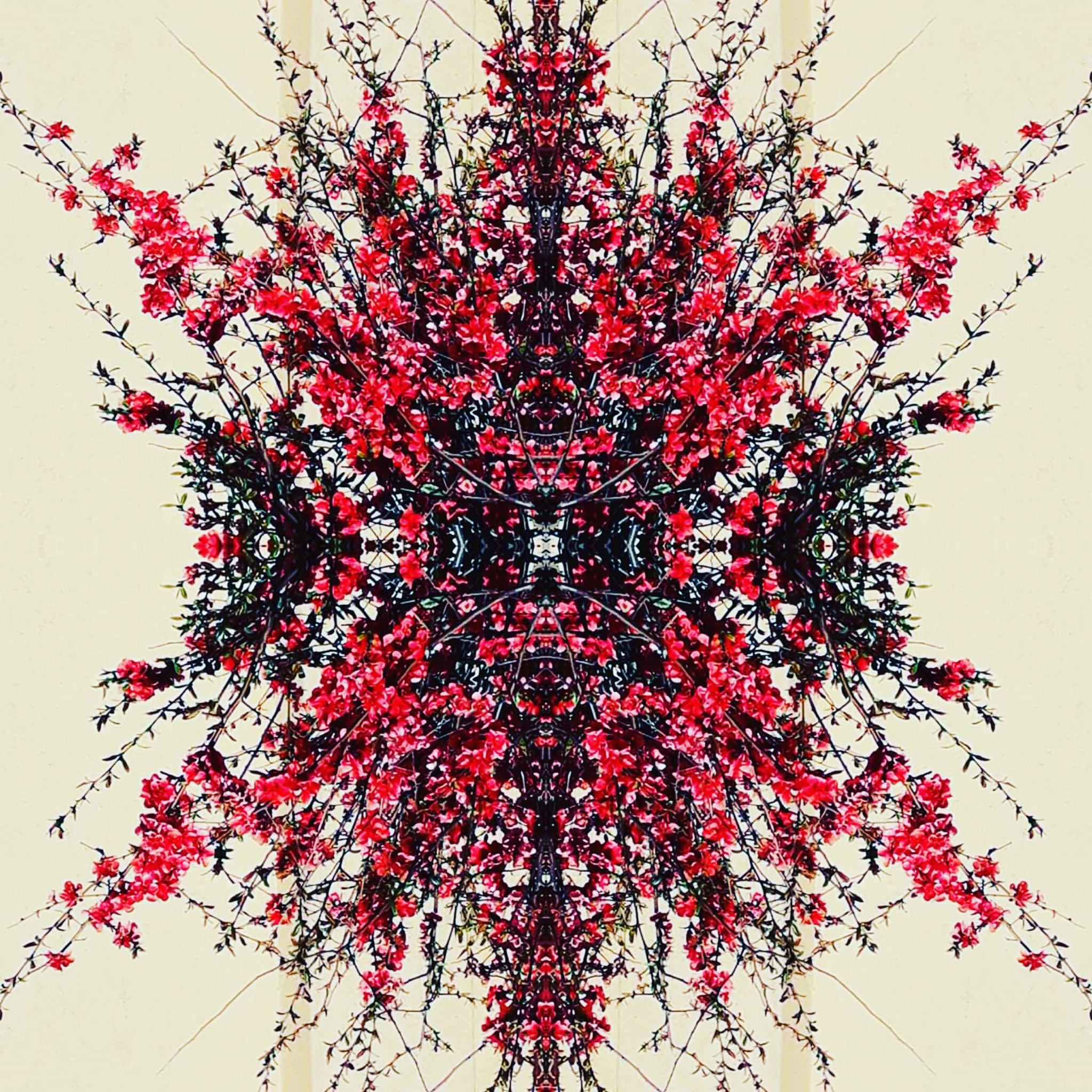 Un'altra prospettiva