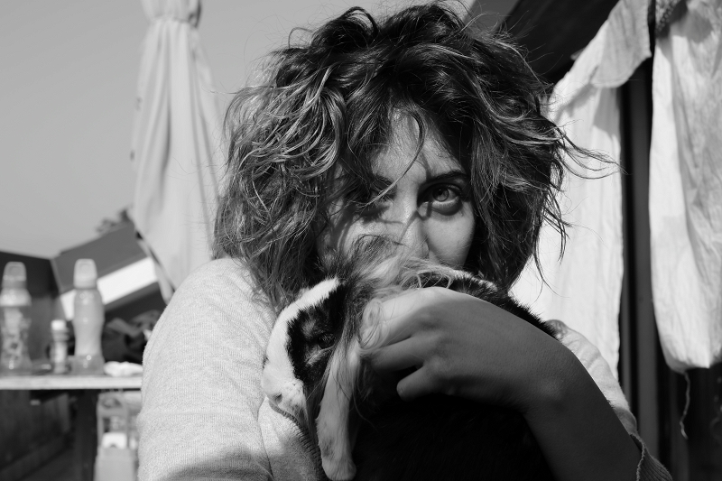 Ci facciamo compagnia