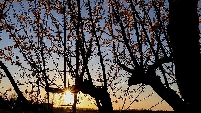 Tramonti di primavera