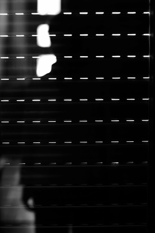 Alla ricerca dei miei confini 3