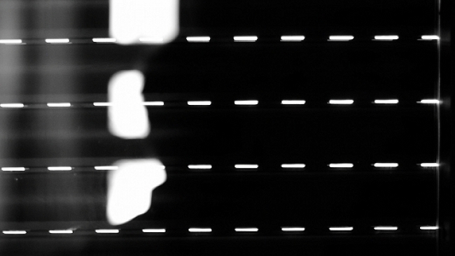 Alla ricerca dei miei confini 3