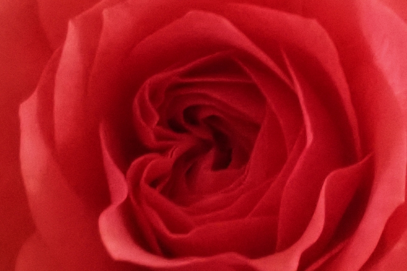 La passione non si spegne