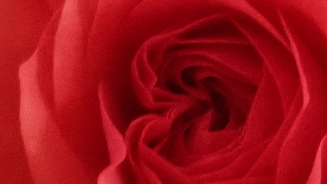 La passione non si spegne