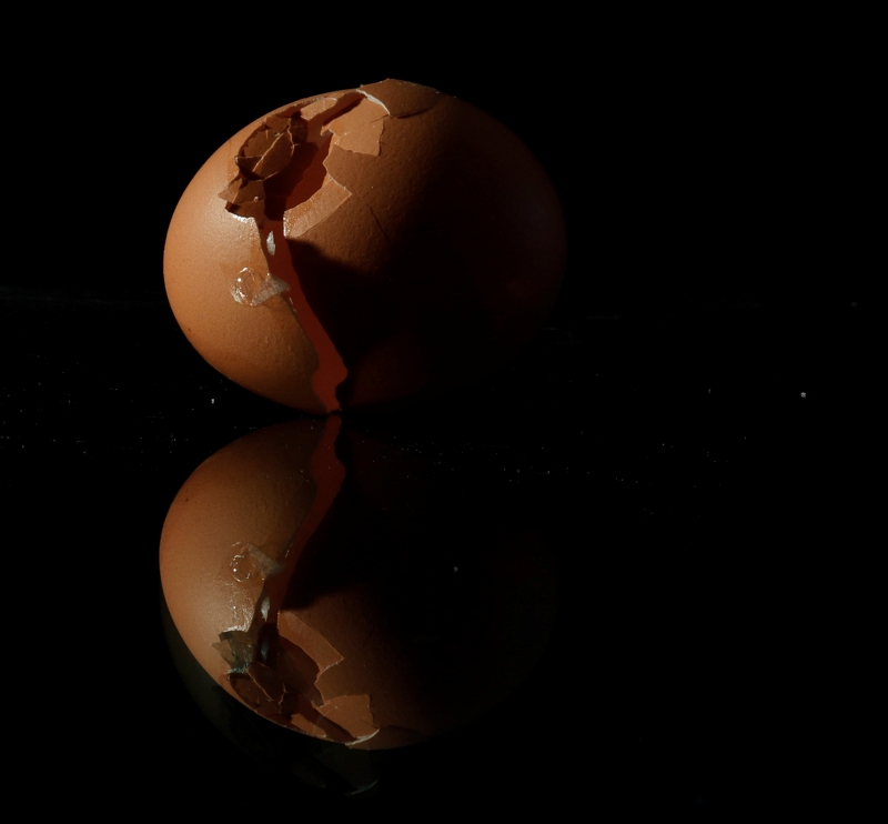 Questa nostra fragilità